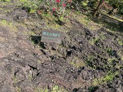 -海口火山口国家地质公园