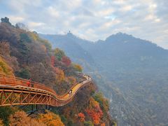 -少华山国家森林公园