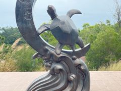 -广东惠东海龟国家级自然保护区