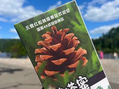 -五营红松林海景区