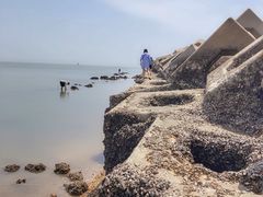 -东疆建设开发纪念公园