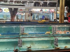 -荔城生鲜盛宴(番禺旗舰店)