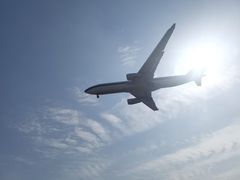 -空港花田景区