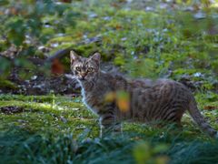 -苏州河梦清园环保主题公园