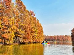 -上海海湾国家森林公园