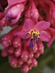 -酉嘉瑜伽YO+YOGA