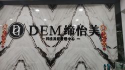 -DEM缔怡美科技美容