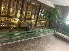 -大张烙馍村(泉山店)