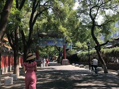 -北京国子监胡同