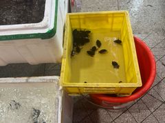 -美未居·老字号·地道顺德菜·桑拿鸡·鱼生(容桂店)