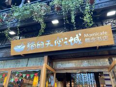 -猫的天空之城概念书店(杭州南宋御街店)