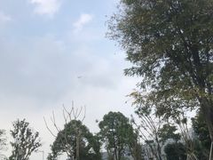 -成飞公园