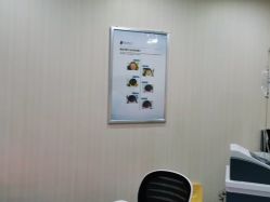 -碧莲盛·不剃发植发