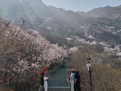 -鸡鸣山旅游景区