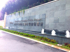 IMG_6290-杭州千岛湖滨江希尔顿度假酒店