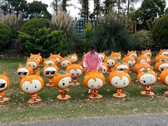 -上海长兴岛郊野公园