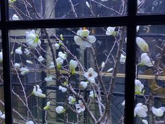 -韩盛·盛江山自助料理(于洪新玛特店)