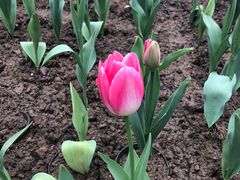 -南通洲际绿博园