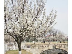 -国际非物质文化遗产博览园