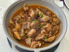 蹄筋烧牛肉-凯鸽酒楼(大同振兴街店)