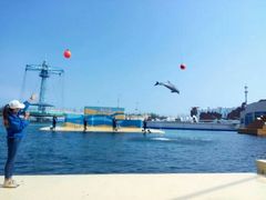 -秦皇岛乐岛海洋王国