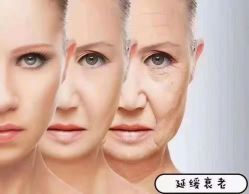 -贝黎诗SPA