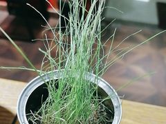 -学习谷日语培训日本留学·多语种外语教学(海淀人大分部)