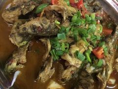 -龙小海荆沙鸽子店(瑞安街店)