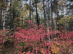 -北京十三陵国家森林公园蟒山景区
