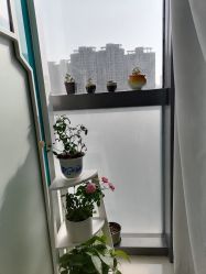 -芙贝佳禾·痘肌管理中心