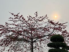 -顺峰山公园