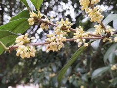 -方山风景区定林寺