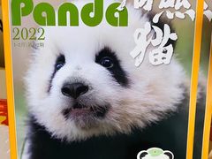 -熊猫邮局(少城店)