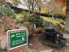 -汉拿树木园