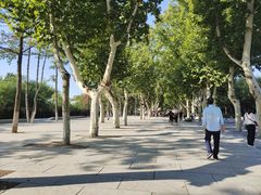 -汉长安城未央宫国家考古遗址公园