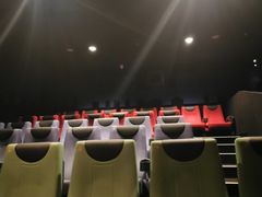 -新影联·华谊兄弟影院(望京店)