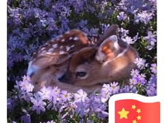 -东方帝景假日酒店