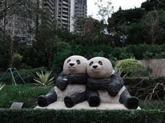 -石排湾郊野公园
