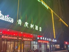 -青皮树酒店(合肥瑶海区新安江路龙岗地铁站店)