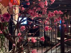 -沪小胖小龙虾(淮海中路旗舰店)