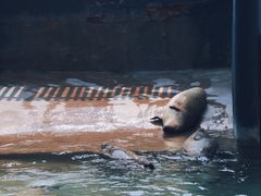 -蓬莱欧乐堡海洋极地世界