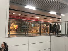 -近江(地铁站)