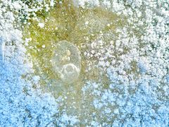 -太子岭滑雪场