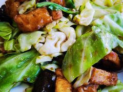 白菜木耳爆豆腐-同发号饭庄(复兴路店)
