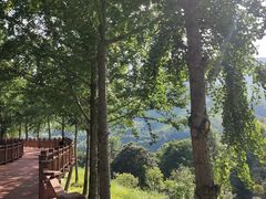 -大余丫山旅游度假区