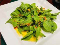 沙棘冰草-九十九顶毡房(阜石路店)