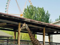 -石家庄市动物园