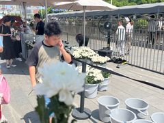 -侵华日军南京大屠杀遇难同胞纪念馆-停车场