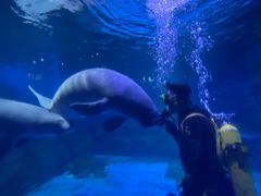 -烟台海昌鲸鲨海洋公园