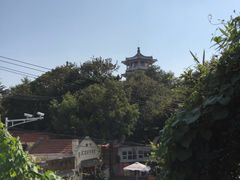 -海边的猫和咖啡馆